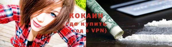 дмт Новокубанск