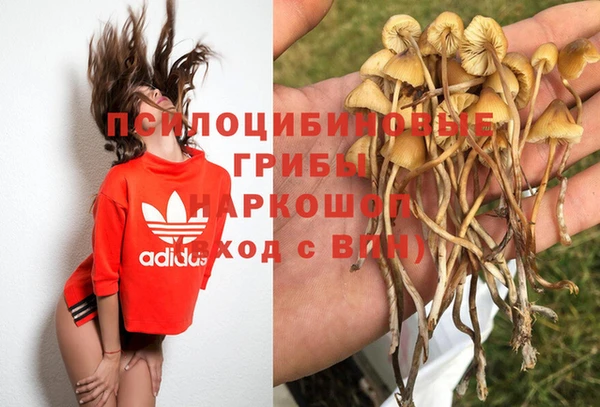 кристаллы Алексин