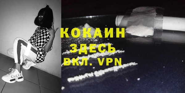 молекула духа Алексеевка