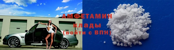 молекула духа Алексеевка