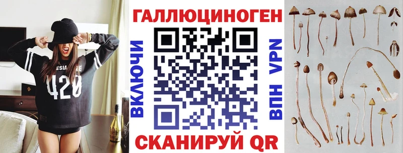 как найти   Пермь  Галлюциногенные грибы Psilocybe 